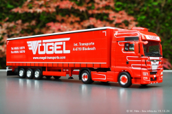 20241019-Voegel-00101
