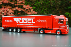 20241019-Voegel-00102