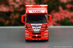 20241019-Voegel-00104
