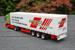 20250628-Wandt-01208