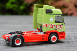 20250628-Wandt-01254