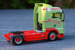 20250703-Wandt-00585