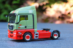 20250629-Wandt-00573