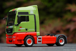 20250628-Wandt-00733