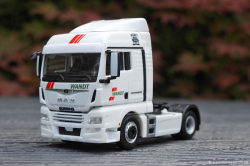 20250628-Wandt-01020