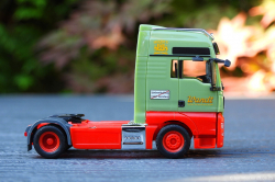 20250629-Wandt-00664