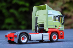 20250730-Wandt-00206