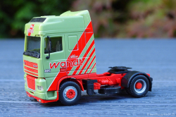 20250703-Wandt-00130