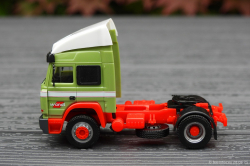 20250628-Wandt-01385