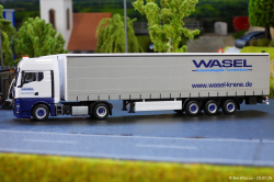 20260729-Wasel-00011