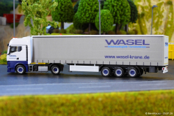 20260729-Wasel-00022