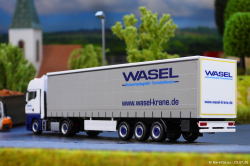 20260729-Wasel-00024