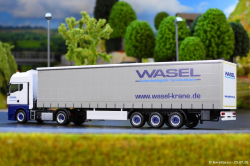 20260729-Wasel-00025