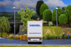 20260729-Wasel-00029