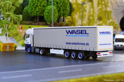 20260729-Wasel-00031