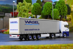 20260729-Wasel-00033