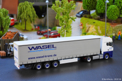 20260729-Wasel-00036
