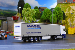 20260729-Wasel-00037
