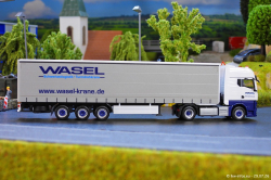 20260729-Wasel-00039