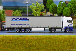 20260729-Wasel-00042