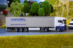 20260729-Wasel-00049