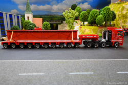 20251108-Wimmer-00076