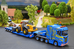 20261220-Wittwer-CH-00246