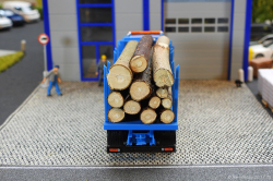 20261220-Wittwer-CH-00963