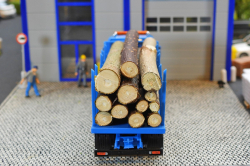 20261220-Wittwer-CH-01003