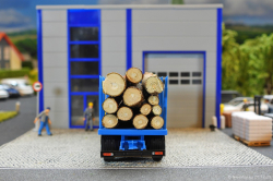 20261220-Wittwer-CH-01004