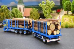 20261220-Wittwer-CH-01029