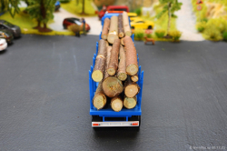 20261220-Wittwer-CH-01038